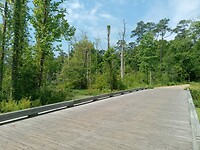 Beaver Dam Creek, moeras net buiten Yorktown