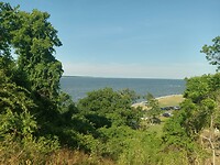 York River
