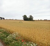 Glooiend landschap