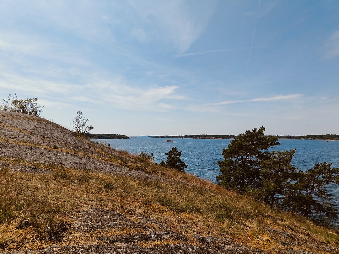 Järnavik