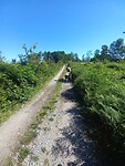 Mooie graffel route