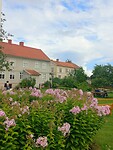 Pataholm