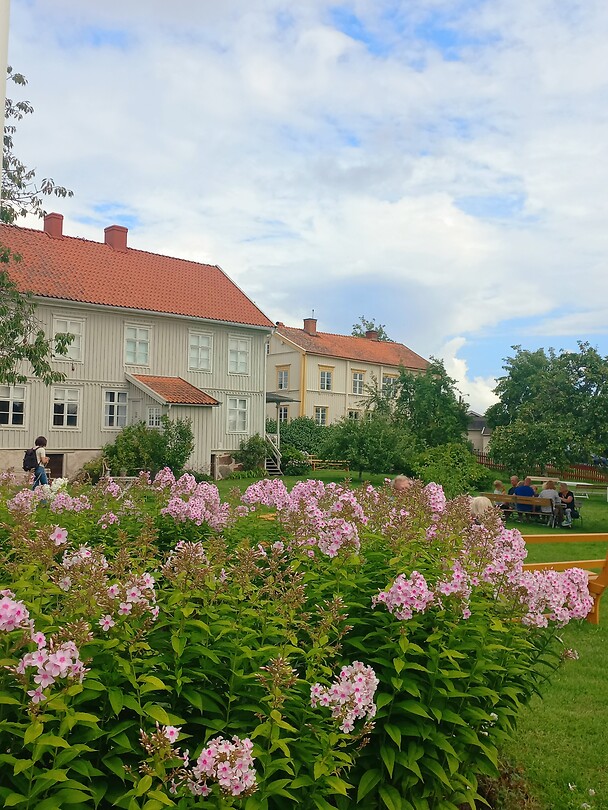 Pataholm