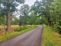 Onderweg naar Mönsteräs