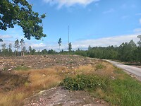 Onderweg naar Oskarshamn
