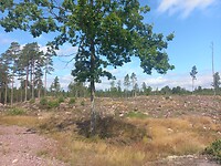 Onderweg naar Oskarshamn