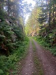 Grafelroute tussen rotswanden door