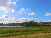 Onderweg naar Berg