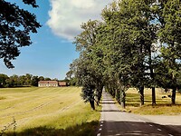 Onderweg naar Berg