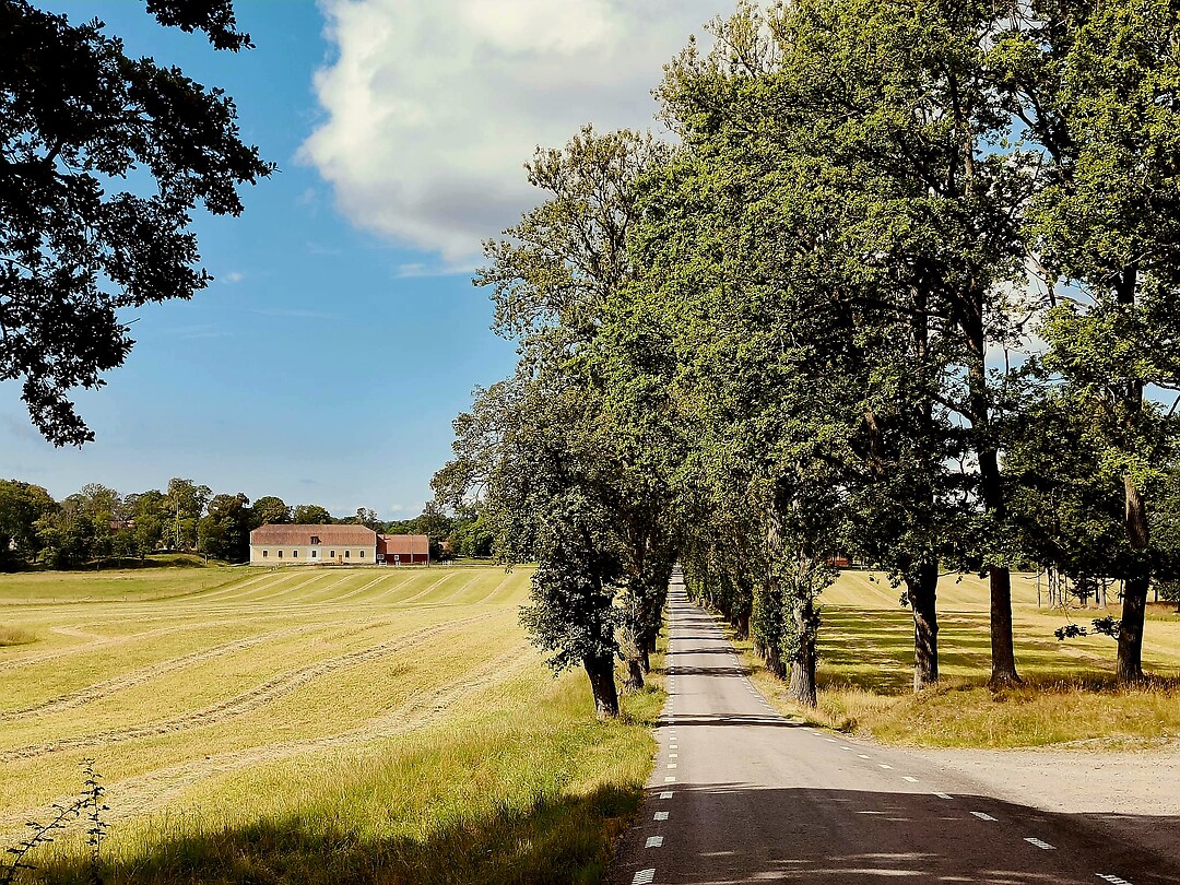Onderweg naar Berg