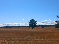 Onderweg naar Lidköping