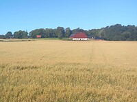 Onderweg naar Lidköping