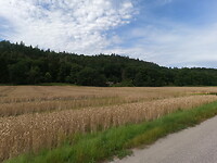 Hunneberg