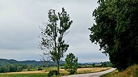 Onderweg