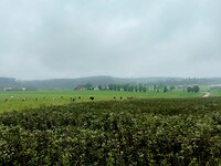 Miezerregen en regen in de verte