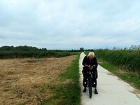 Harde wind petje af