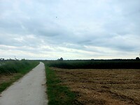 Onderweg naar Steenwijk