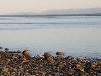 IMG_7901