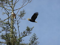 IMG_8078