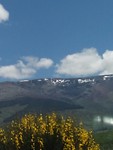 Pyreneeën