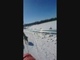 Dog Sledding