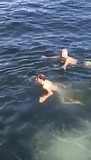 Zwemmen in de Oslofjord