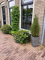 IMG_9077