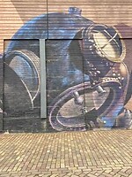 IMG_9110