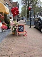 IMG_9123