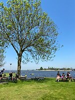 IMG_9194