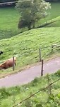 Op weg naar die Blockhütte