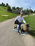 Zwei kleine Schweine