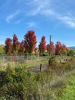 Herfstkleuren beginnen te komen