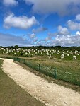 de Menhirs van Carnac