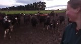 Kalfjes