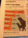 Welke honden vindt je in de USA?