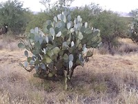 20190924_145734