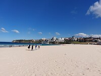 Bondi Beach