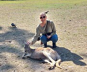 Lone Pine Koala Sanctuary