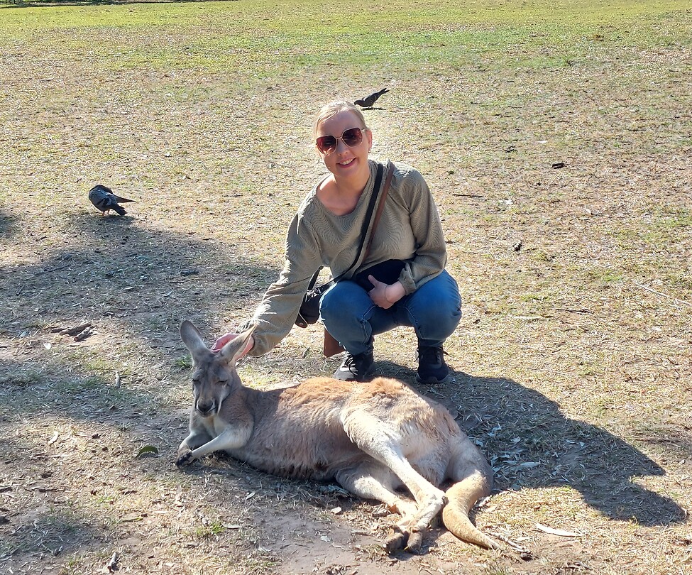 Lone Pine Koala Sanctuary