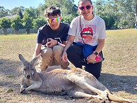 Lone Pine Koala Sanctuary