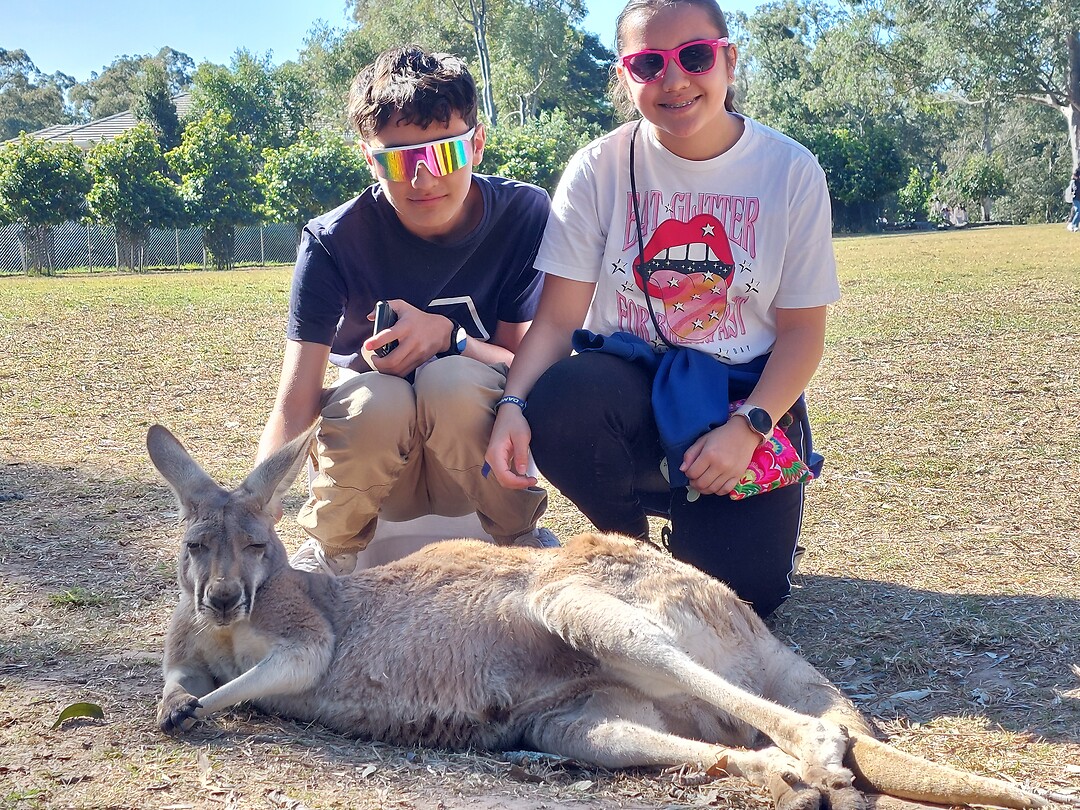 Lone Pine Koala Sanctuary