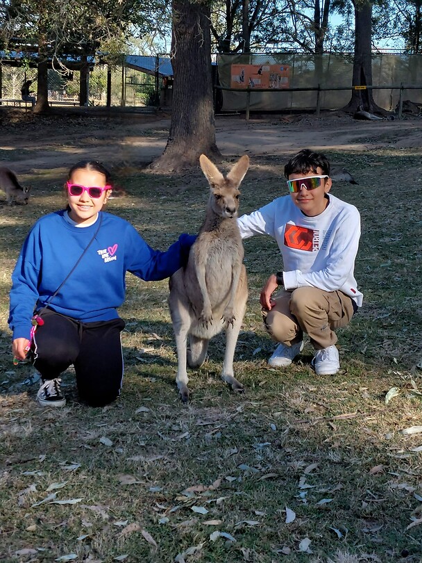 Lone Pine Koala Sanctuary