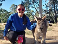 Lone Pine Koala Sanctuary