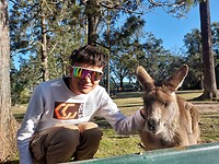Lone Pine Koala Sanctuary