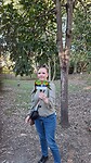 Lone Pine Koala Sanctuary