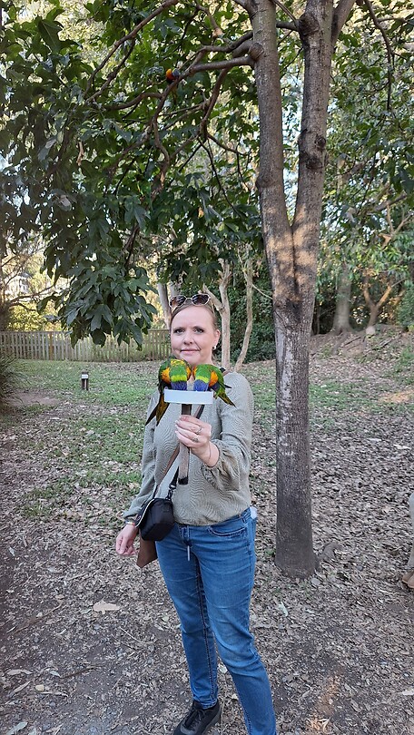 Lone Pine Koala Sanctuary