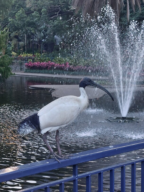 Botanic Garden