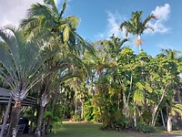 Tin Can Bay Motel