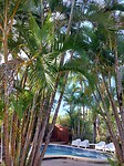 Tin Can Bay Motel